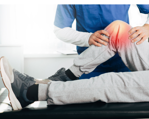 膝の内側の痛み　鵞足