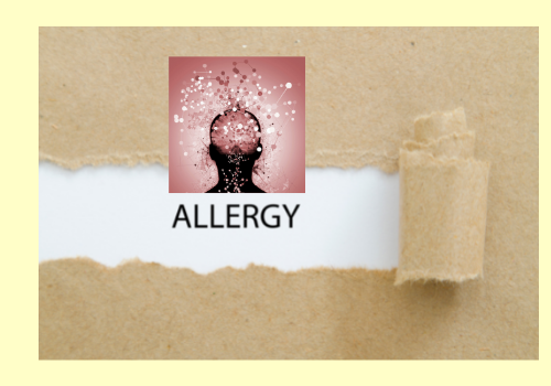 アレルギーと脳の誤作動